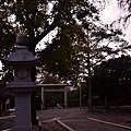 2011 1122 024.jpg