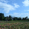 2011 1219   大甲苗圃 068.jpg