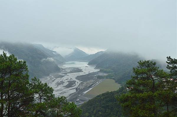 DSC_2197 DSC_2197