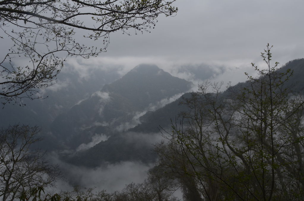 DSC_2254 DSC_2254