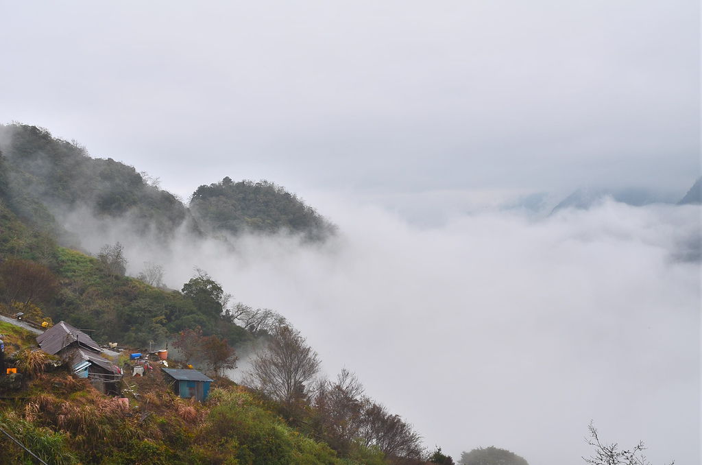 DSC_2677 DSC_2677