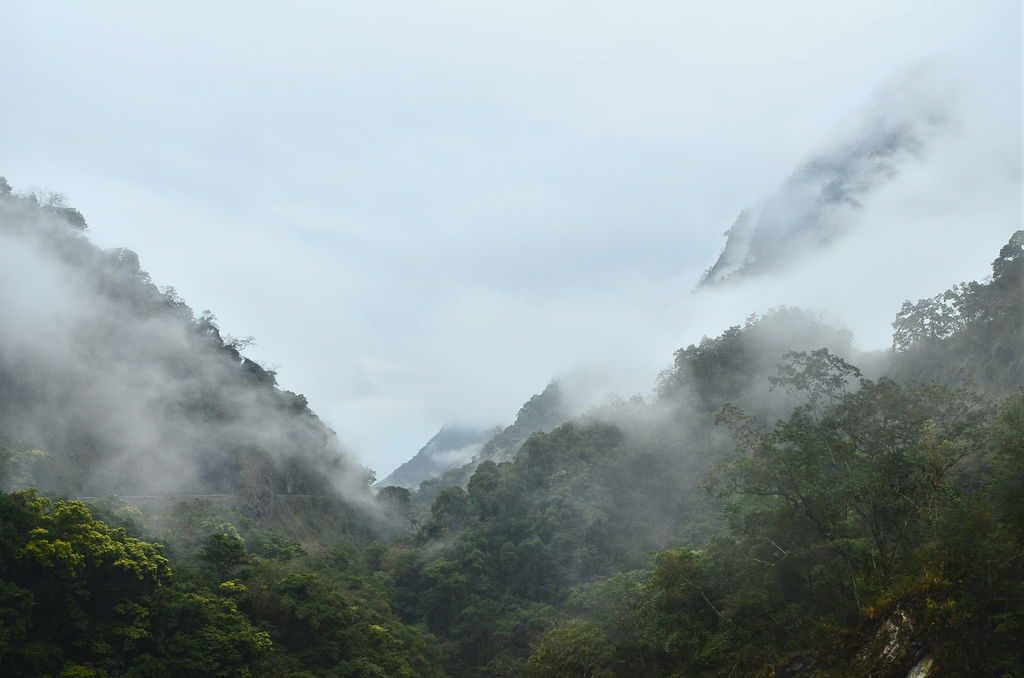 DSC_2275 DSC_2275