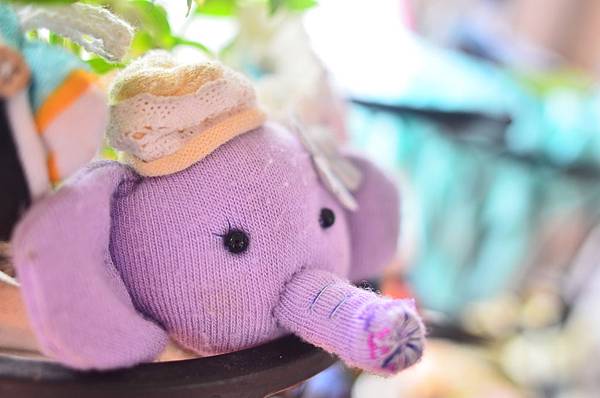 DSC_2516 DSC_2516