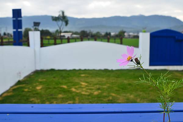 DSC_2565 DSC_2565