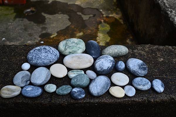 DSC_2687 DSC_2687