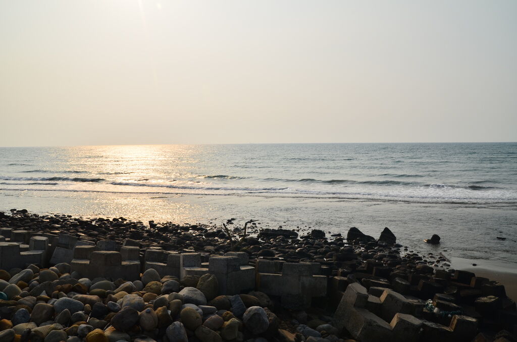 DSC_2786 DSC_2786