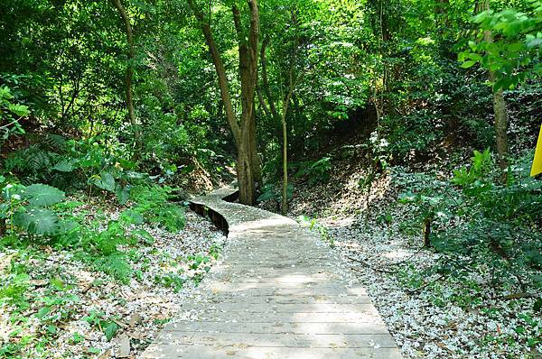 DSC_3175 DSC_3175