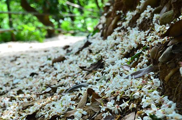 DSC_3215 DSC_3215
