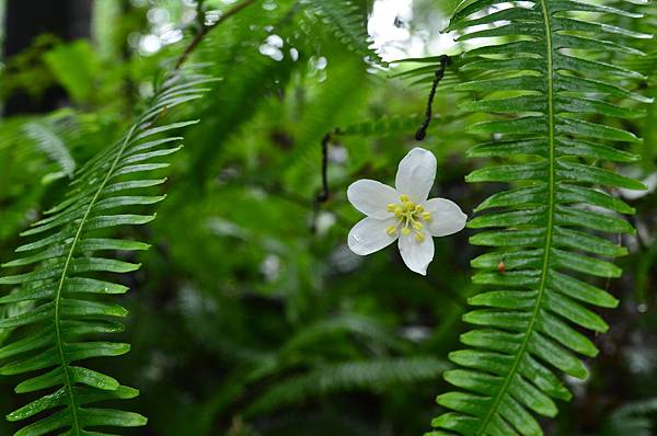 DSC_3401 DSC_3401