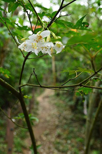 DSC_3576 DSC_3576