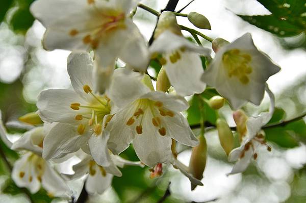 DSC_3590 DSC_3590
