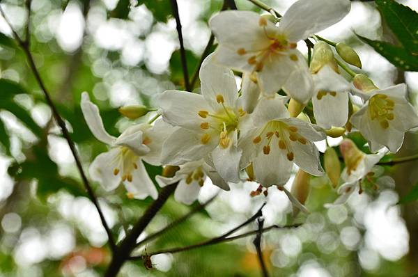 DSC_3593 DSC_3593