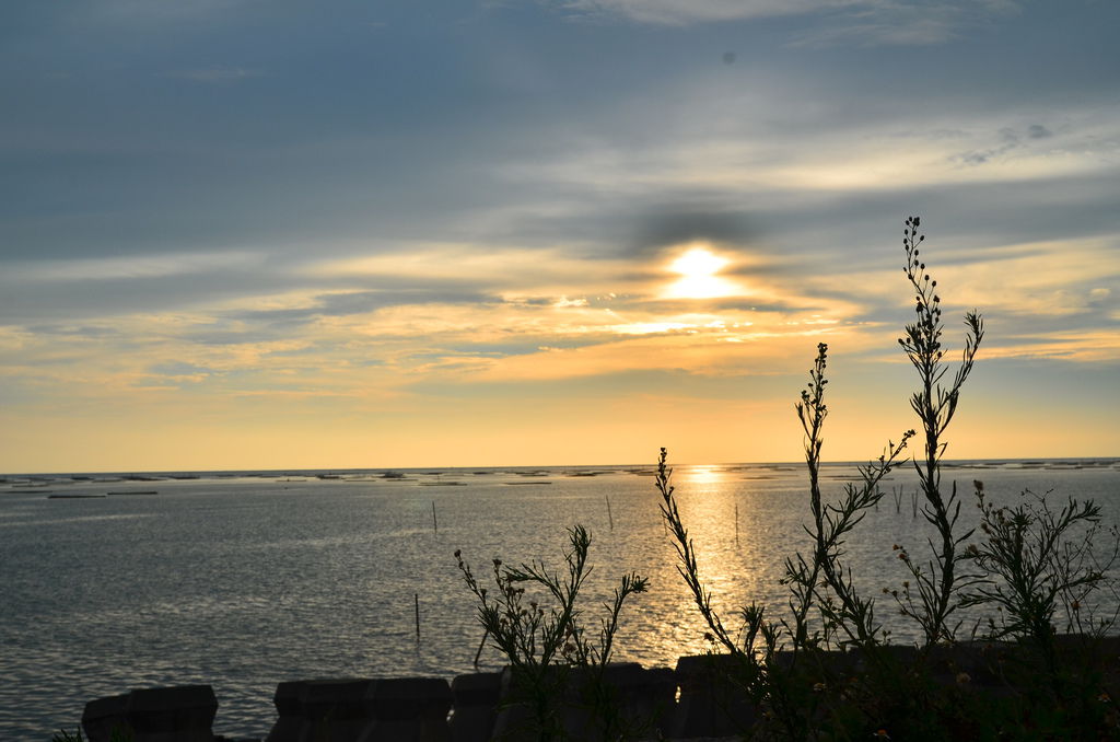 DSC_3963 DSC_3963