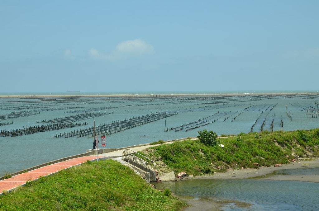 DSC_4029 DSC_4029