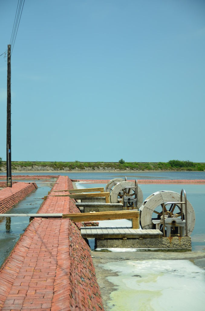 DSC_4036 DSC_4036