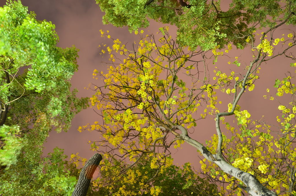 DSC_4094 DSC_4094