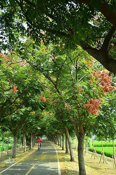 DSC_7624 DSC_7624