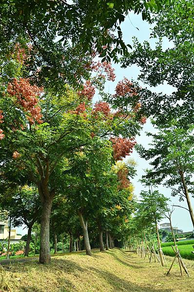 DSC_7633 DSC_7633