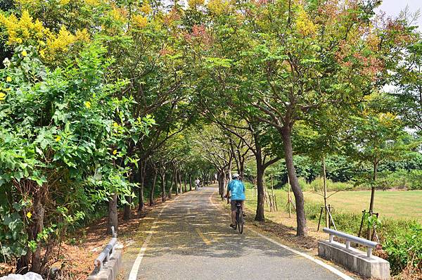 DSC_7726 DSC_7726