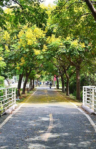 DSC_7760 DSC_7760