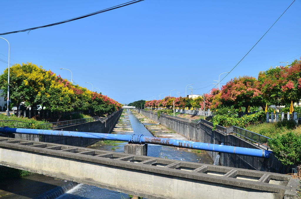 DSC_7878 DSC_7878