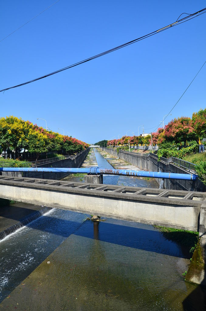 DSC_7879 DSC_7879