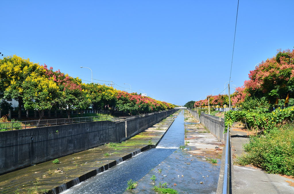DSC_7881 DSC_7881