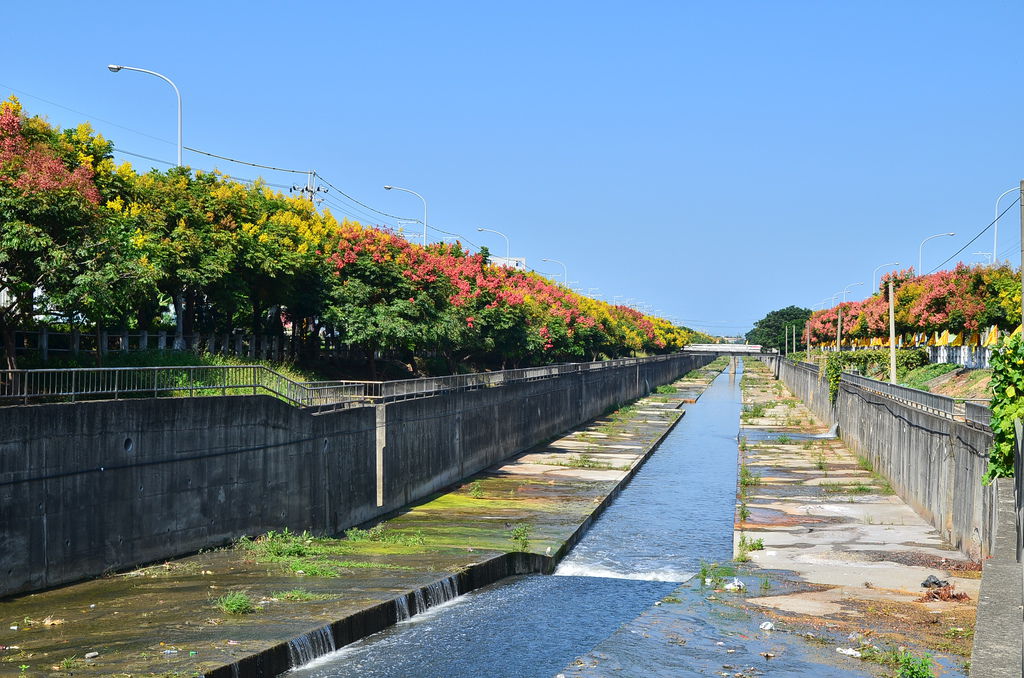 DSC_7882 DSC_7882