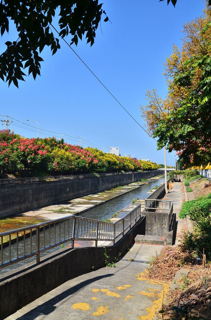 DSC_7884 DSC_7884