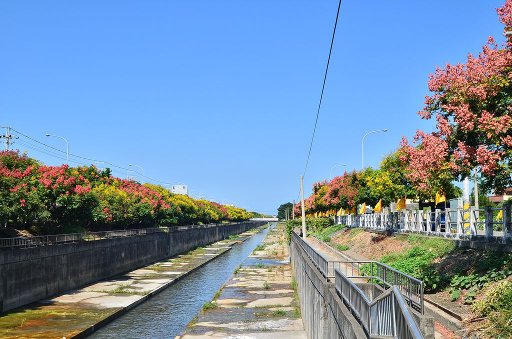DSC_7885 DSC_7885