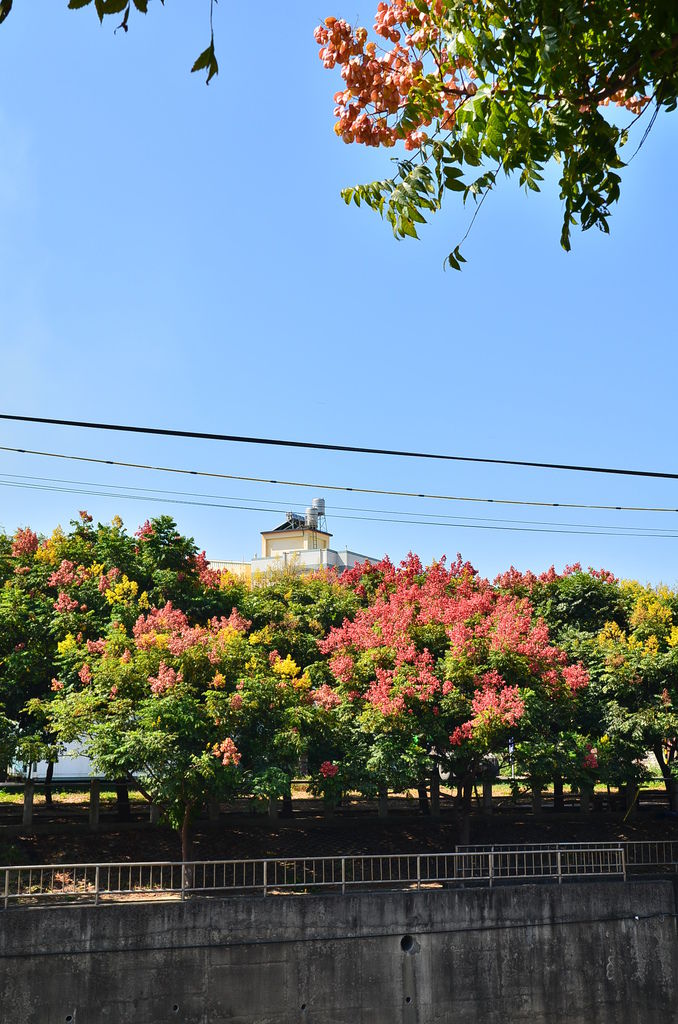 DSC_7889 DSC_7889