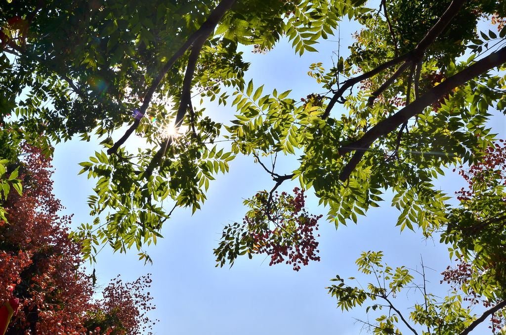DSC_7894 DSC_7894