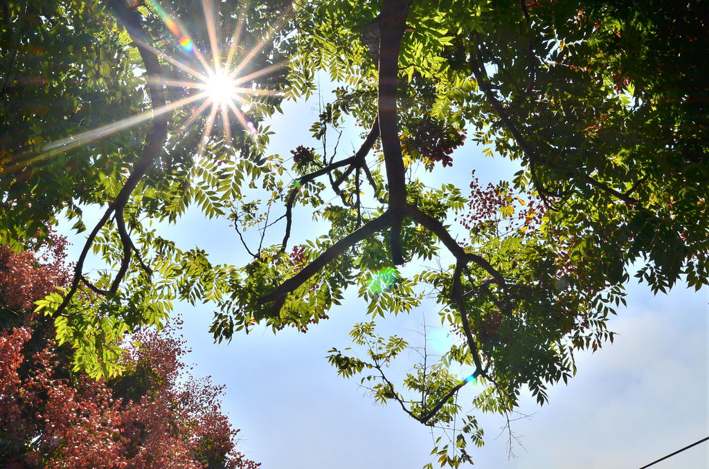 DSC_7895 DSC_7895