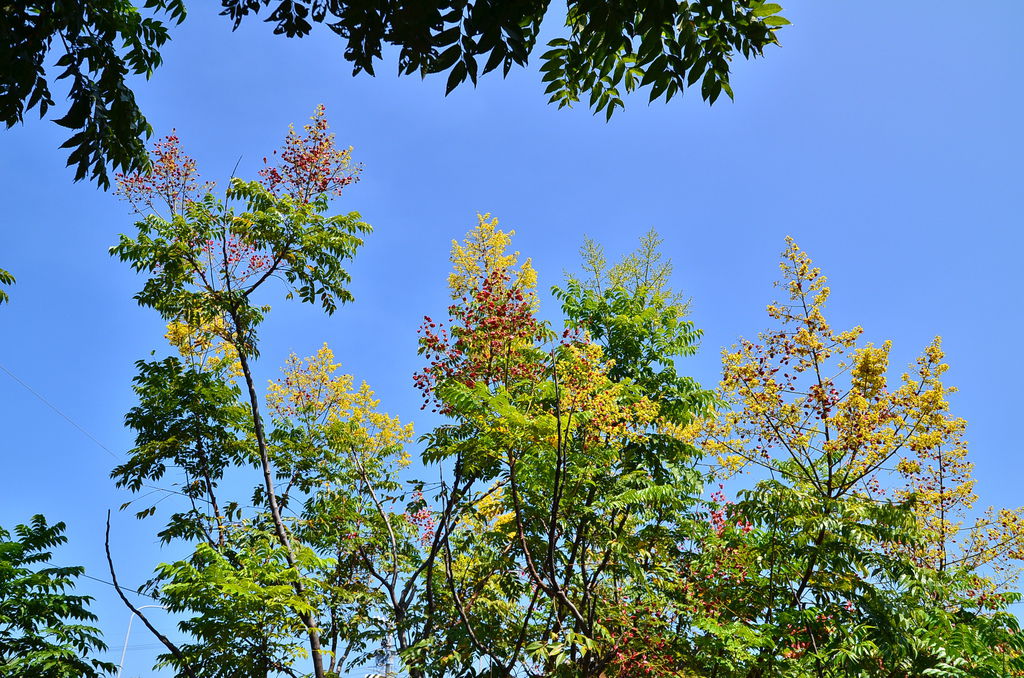 DSC_7897 DSC_7897
