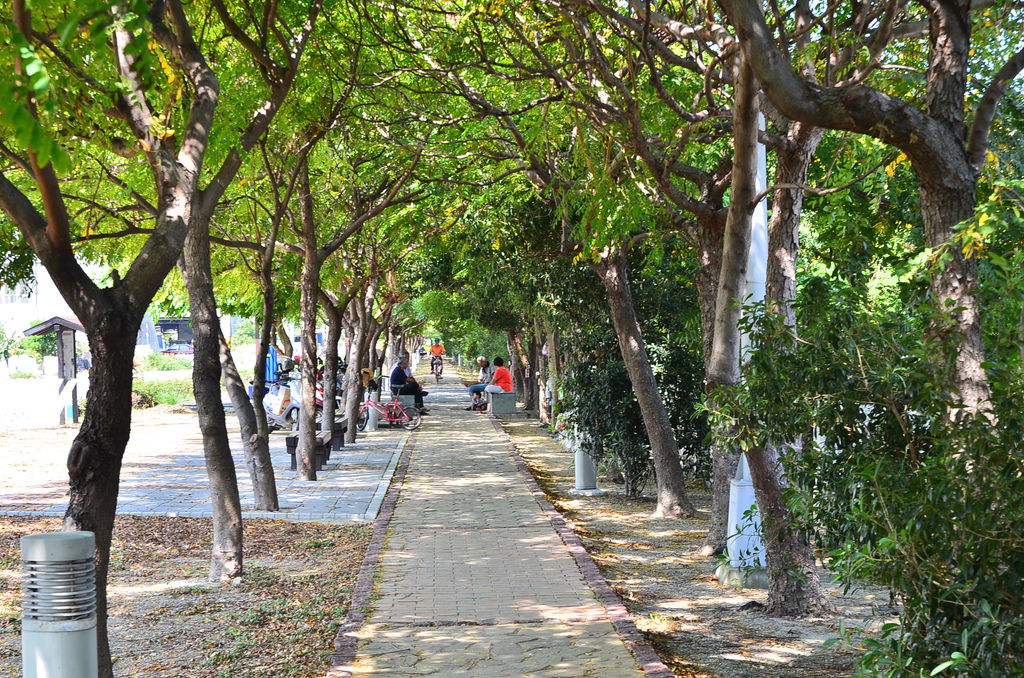 DSC_7898 DSC_7898