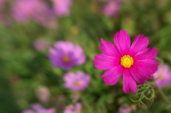 0121 069-手動試拍.jpg