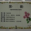 0912 張家祖廟 086.jpg