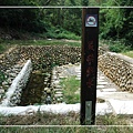 0924 大肚瑞井村 167.jpg