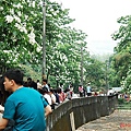 2010 0417 075.jpg