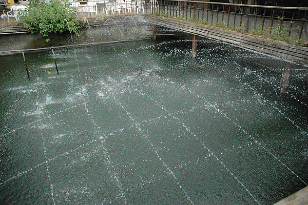 2010 1008 11-12.gif