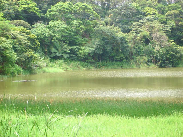 哭泣湖景