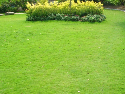 佳德谷植物園區草坪 佳德谷植物園區草坪