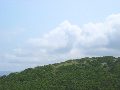 山和雲的對話