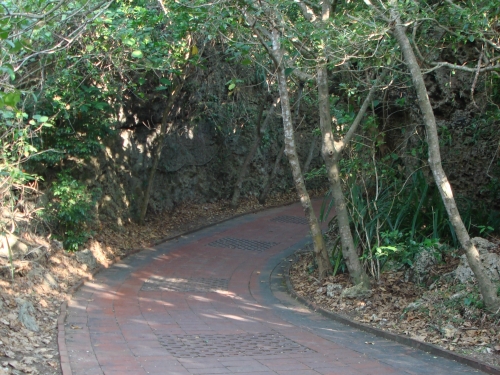 紅磚步道 紅磚步道