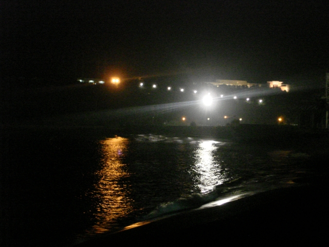 DSC03298.jpg DSC03298.jpg