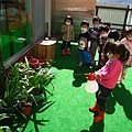Plants--幫植物澆水 1