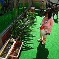 Plants--幫植物澆水 2