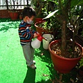 Plants--幫植物澆水 4