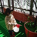 Plants--幫植物澆水 6