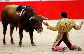 bullfight